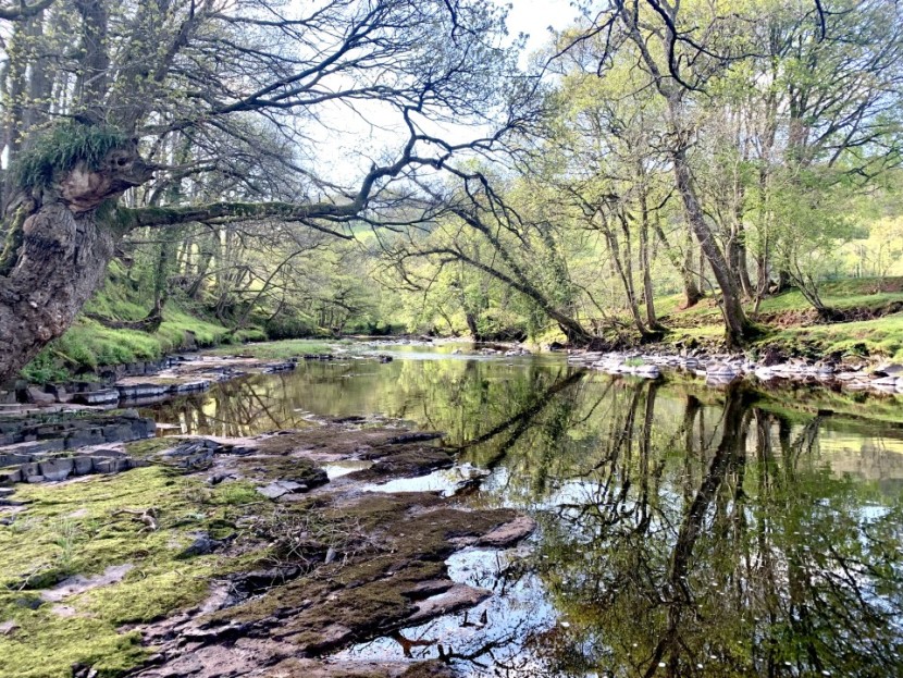 Cefn Rhosan Fawr - AC from Bristol